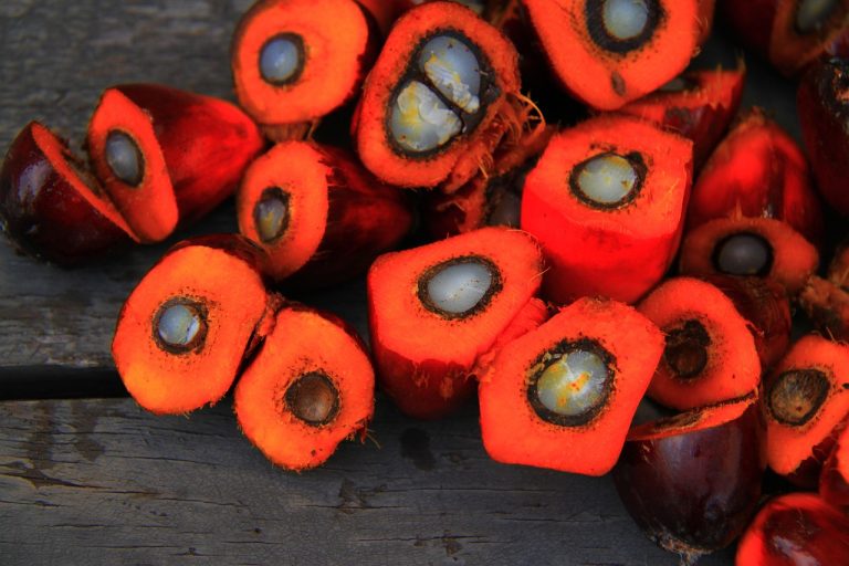 Halved oil palm fruits
