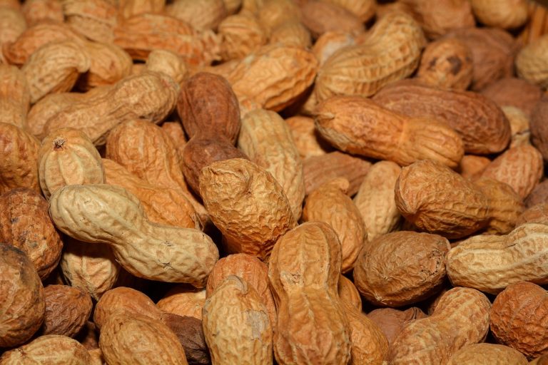 Pile of peanuts