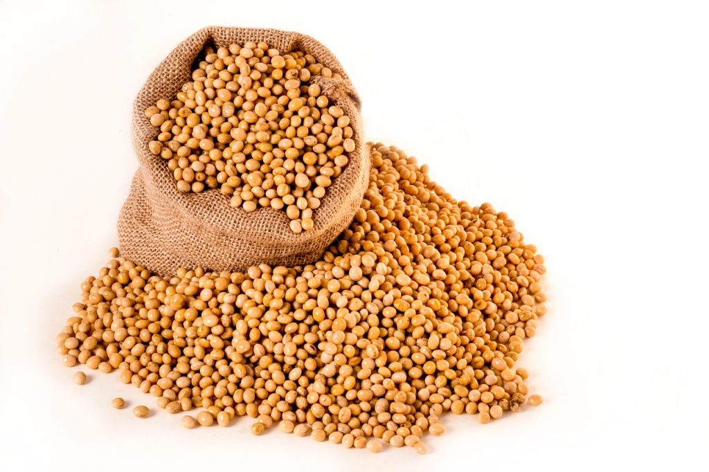 Soybeans spilling from a jute sack